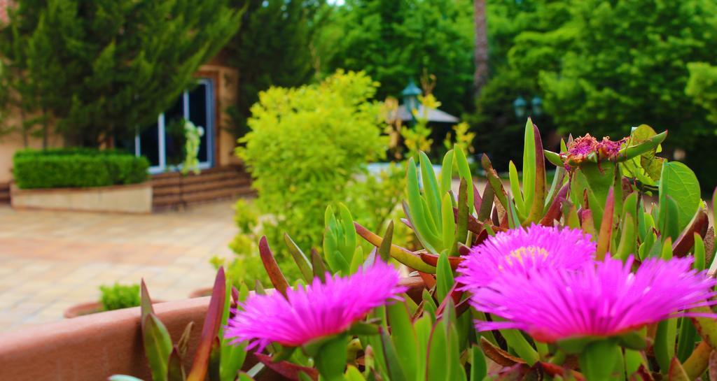 Alambique - Hotel Resort & Spa Fundão Eksteriør billede